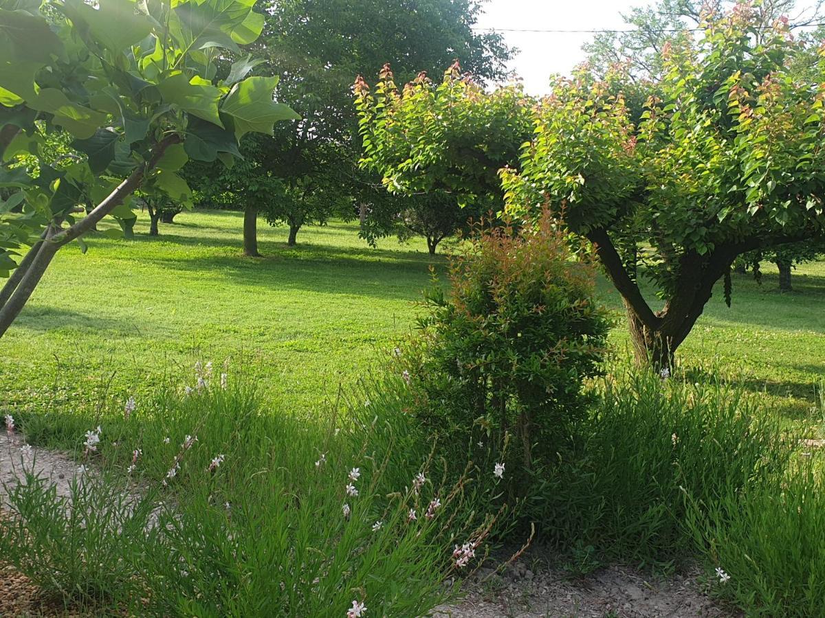 La Gourmandine Bed & Breakfast Saint-Andiol Exterior photo